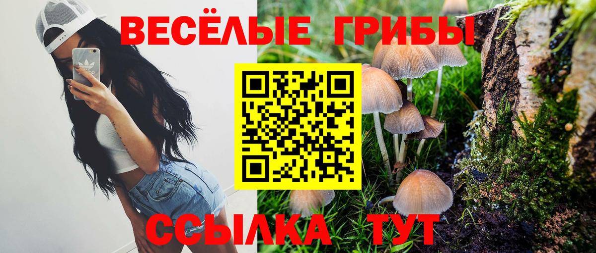 наркотики  Псилоцибиновые грибы Cubensis  Вход с VPN  Галлюциногенные грибы Psilocybe  Нефтекумск 